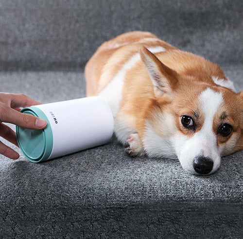 Pfoten-Reinigungsbecher für Hunde – Sanfte Silikonbürste