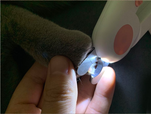 Krallenschere mit LED-Licht für Katzen & Hunde – Sicher & Präzise